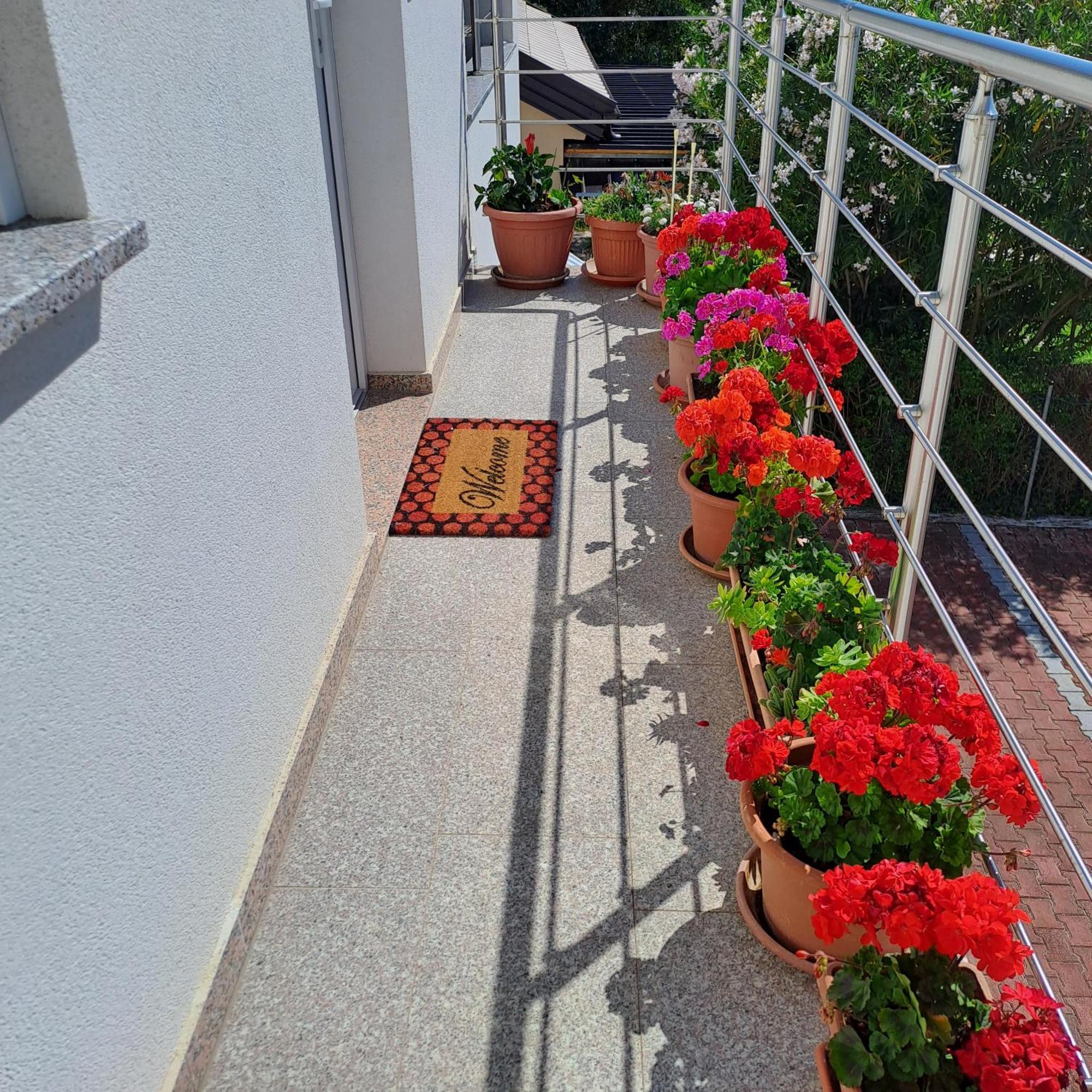 Apartmani Mila-Casa Bianca メドゥリン 部屋 写真