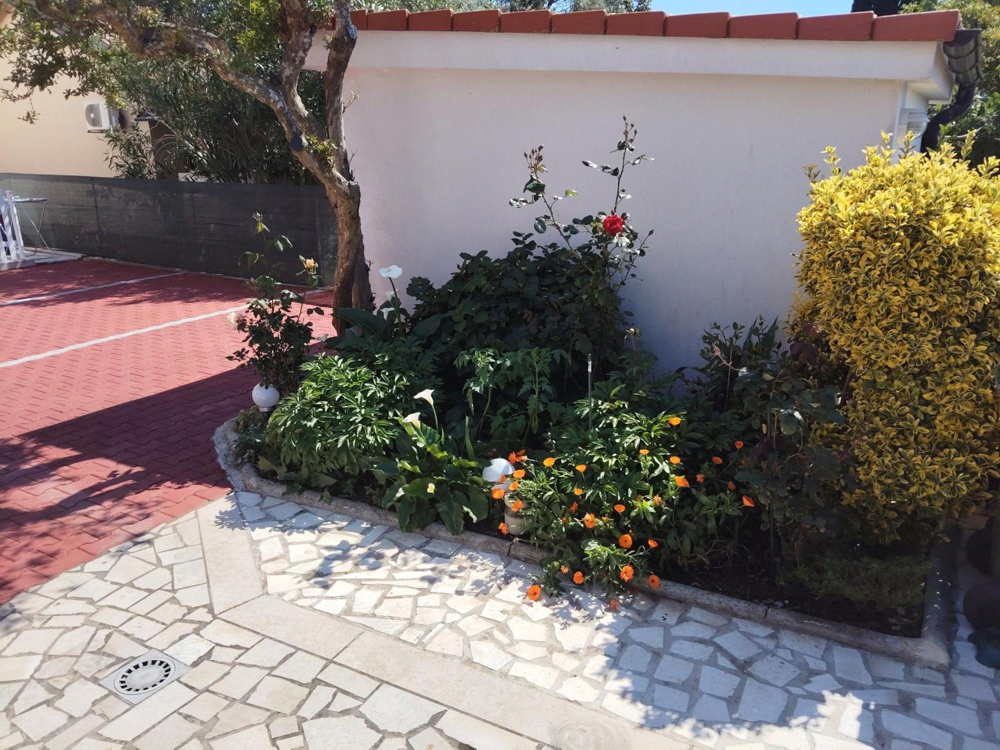 Apartmani Mila-Casa Bianca メドゥリン エクステリア 写真